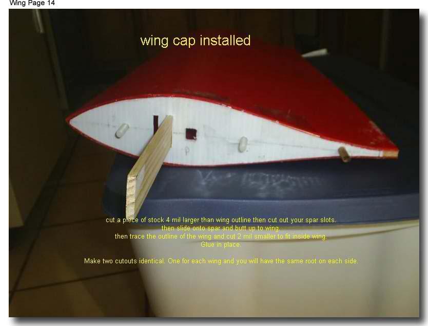wing14 (35K)